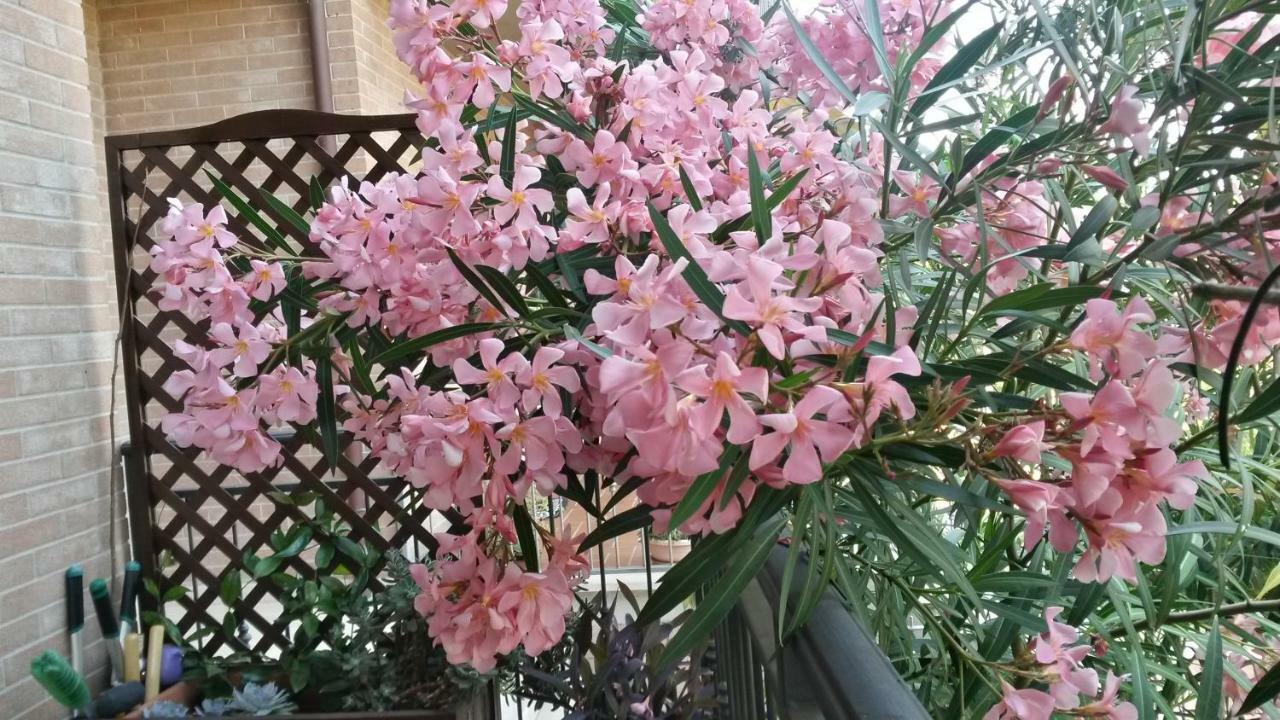 מונטלצ'ינו L'Incanto מראה חיצוני תמונה